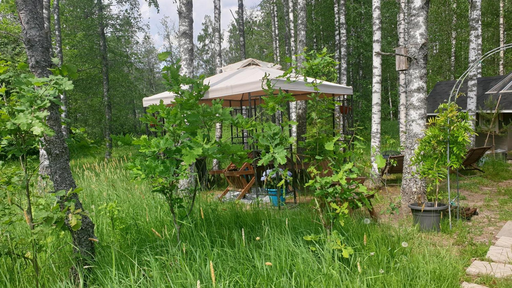 Troll House Eco-Cottage, Nuuksio For Nature Lovers, Petfriendly Espoo Eksteriør billede